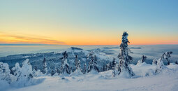 Eine winterliche Arberlandschaft mit Blick auf den Bayerischen Wald