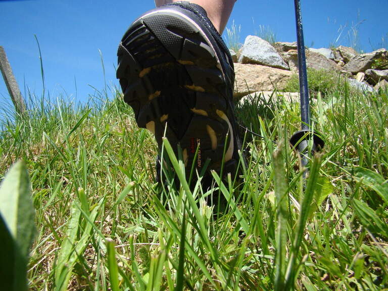 Wandern oder Nordic-Walking im Bayerischen Wald.