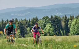 Zwei Menschen unternehmen eine Fahrradtour durch die Natur.
